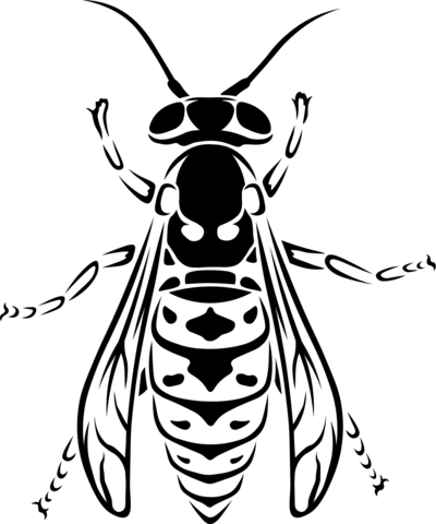 Yellow Jacket Coloring Page